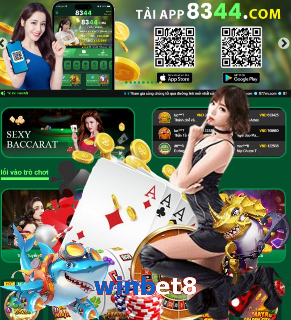 winbet8
